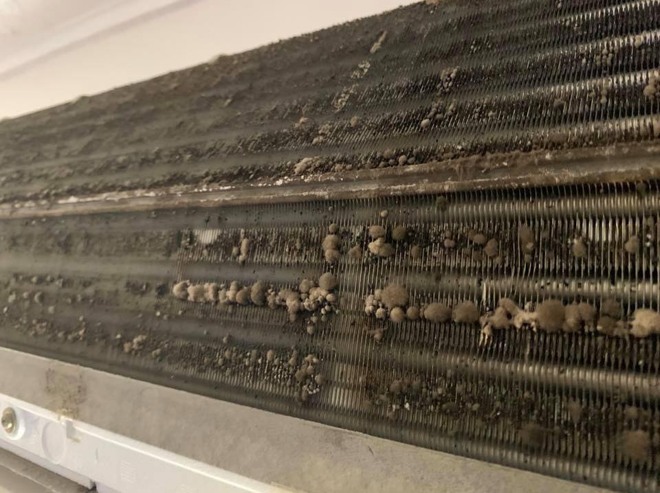 120240225-772402720218440-3215158340600399451-n