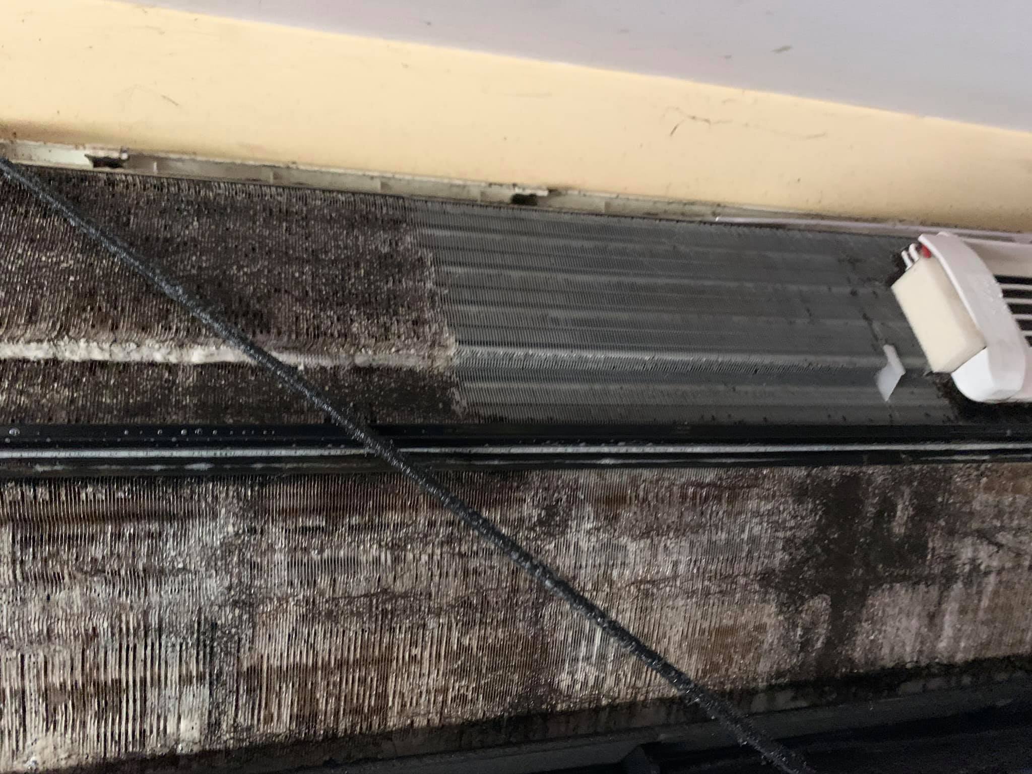 122064856-787536795371699-5684317344593174187-n-1